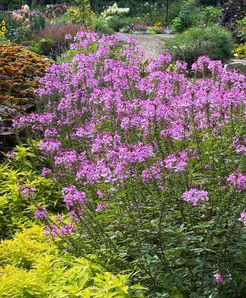 Trim Back Perennials—But Not All
