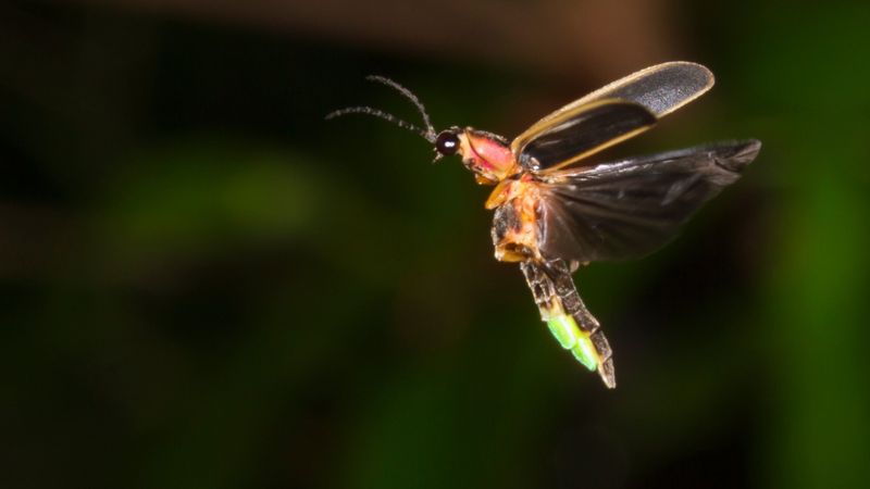 Water Pollution Harms Aquatic Species