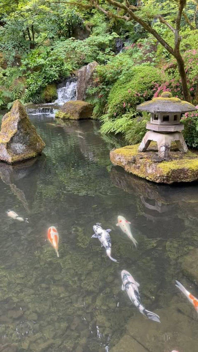 Water Features Reflect Cultural Significance