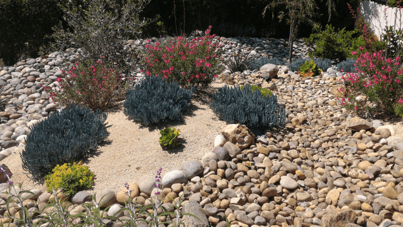 Water-Wise Landscape Solutions