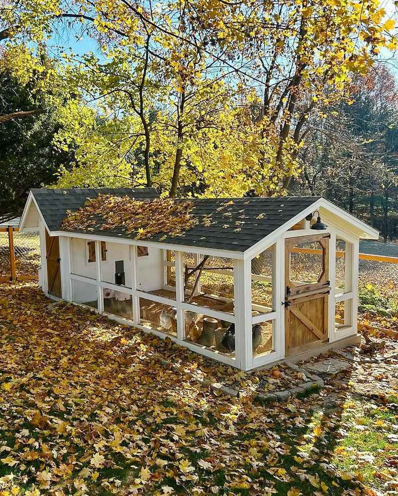Chicken Coops