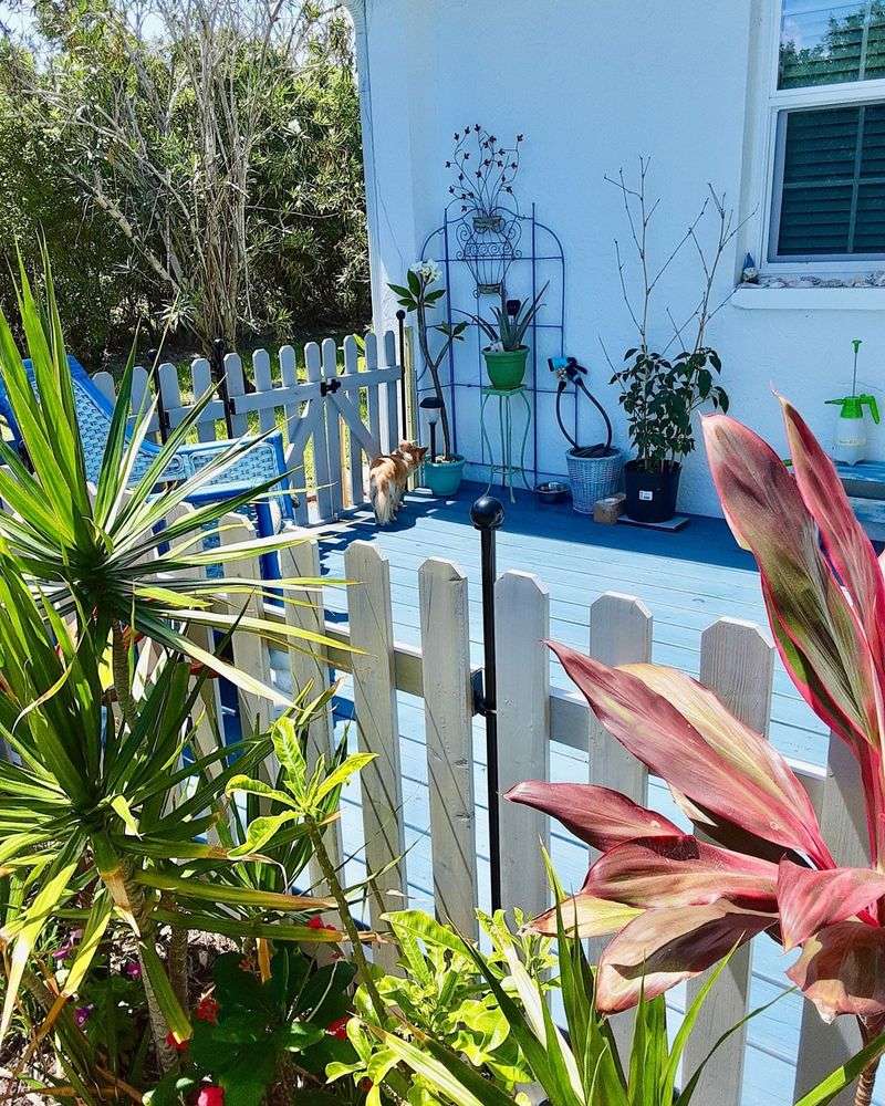 Upcycled Shutter Borders