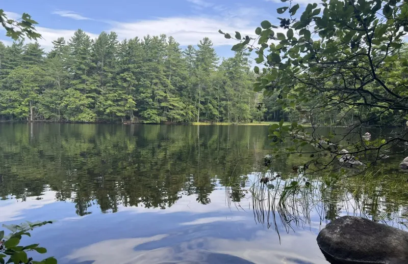 Fernald's Neck Preserve