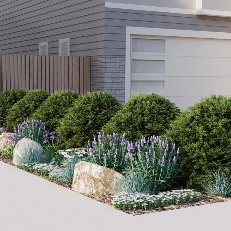 Property Value Enhancer