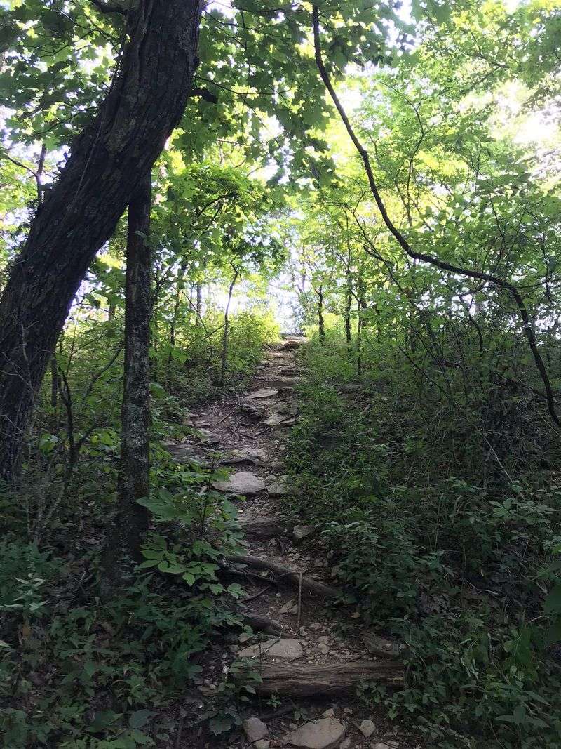 Ruffner Mountain