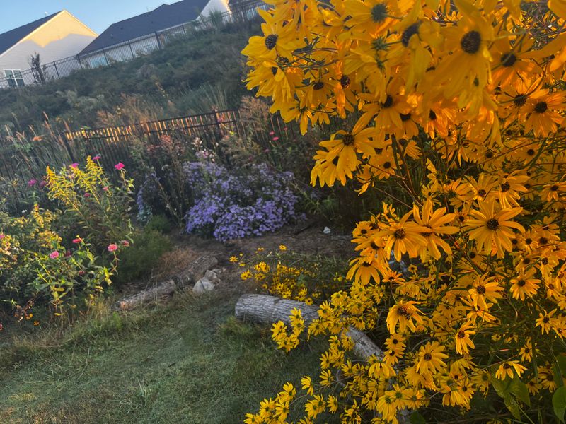 Plan And Dream For Next Year's Garden