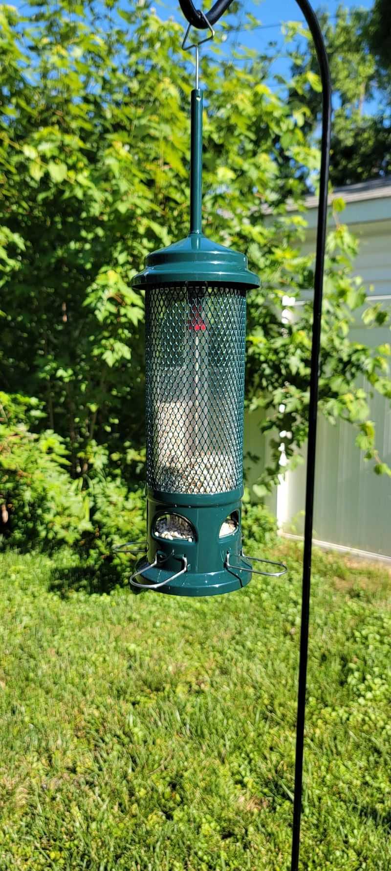 Preventing Feeder Abandonment Issues