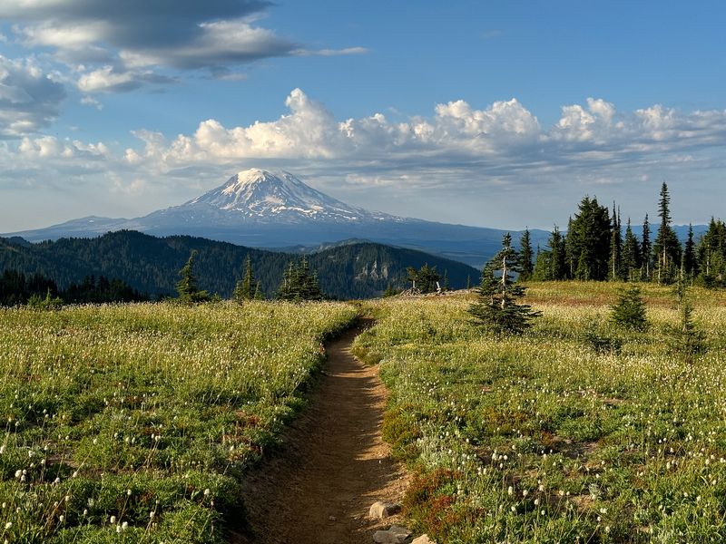 High Altitude Decomposition Rates