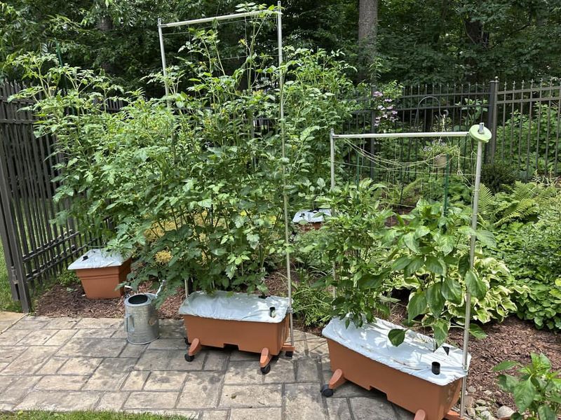 Self-Watering Systems