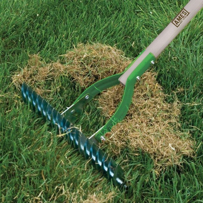 Neglecting Thatch Buildup