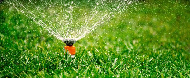 Automatic Irrigation Without Adjustments
