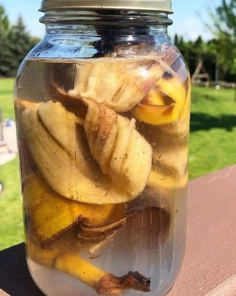 Apply Banana Peel Tea