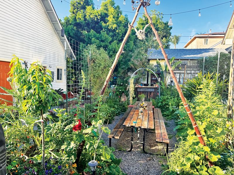 Plant Swaps: How Trading With Neighbors Builds Gardens For Free