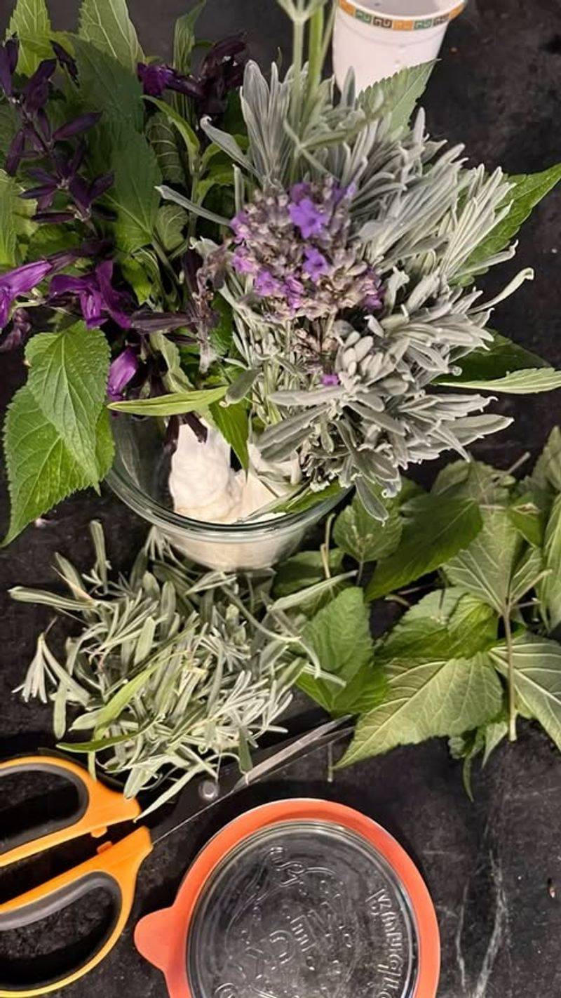 Harvested For Plant Propagation