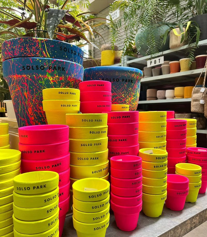 Neon Plant Containers