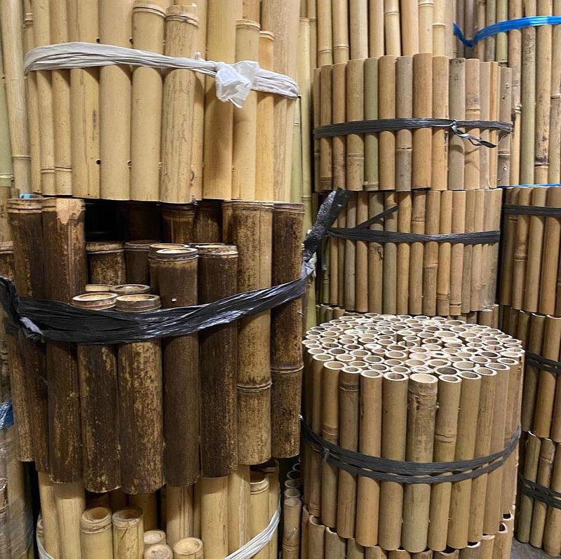 Bamboo Roll Borders
