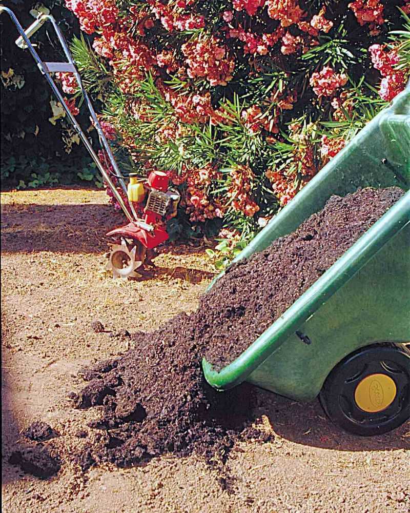 Prepare Soil Properly