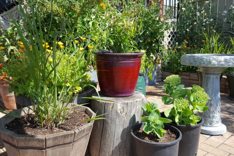 Beautiful Container Gardening On A Small Patio Space
