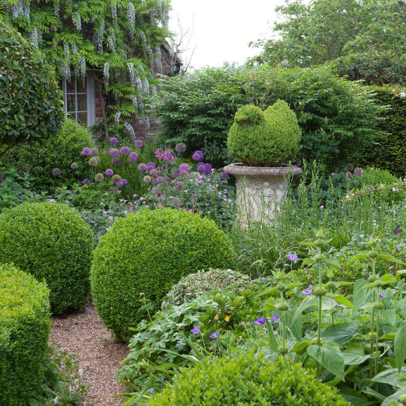 Evergreen Structure For Year-Round Good Looks