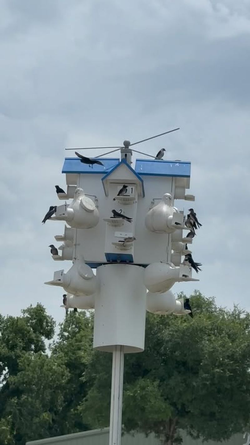 Adjusting Pole Height For Better Nesting