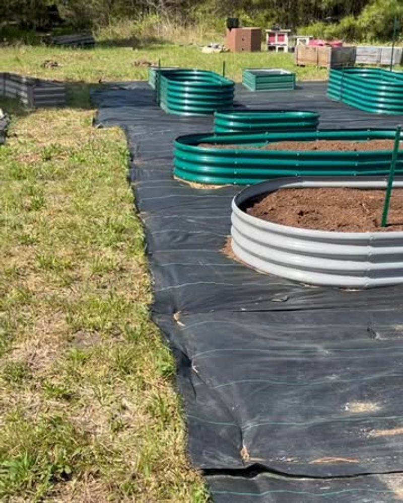 Raised Bed Gardening
