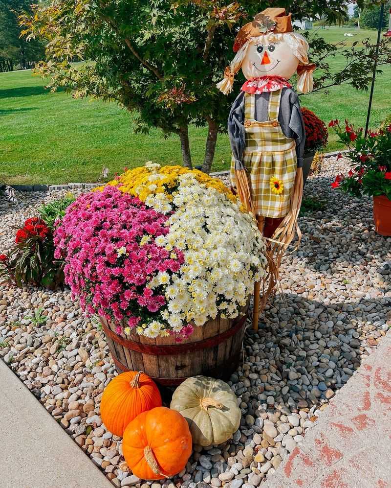 Mum Container Gardens