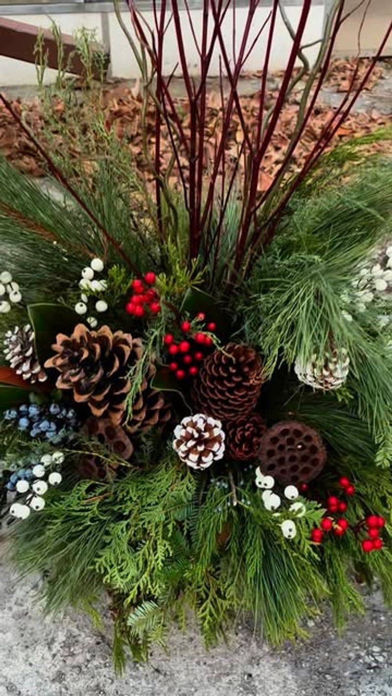 Pinecone Pathways