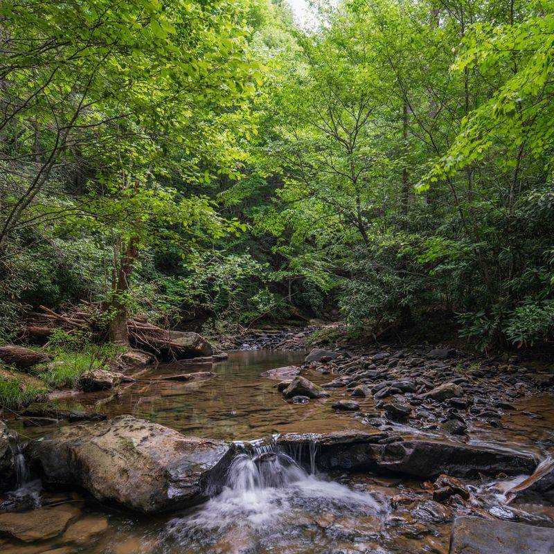 Sally Brown Nature Preserve