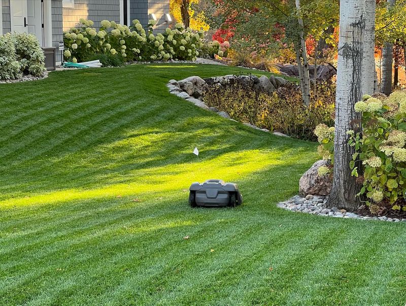 Mow Frequently