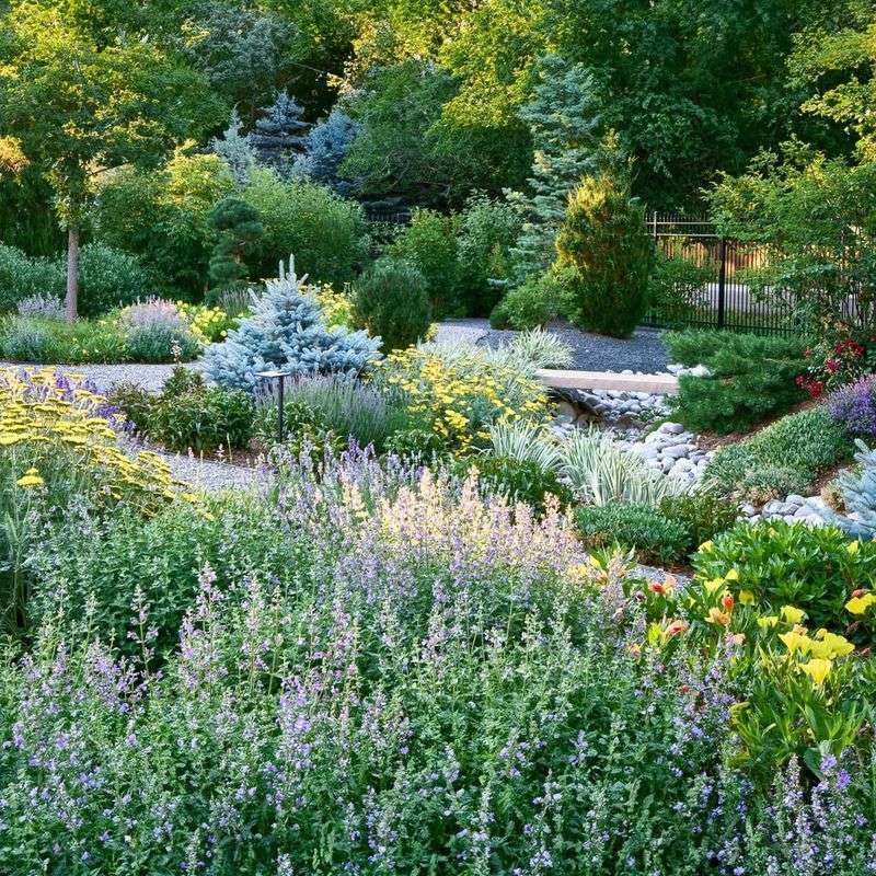 Native Plant Garden