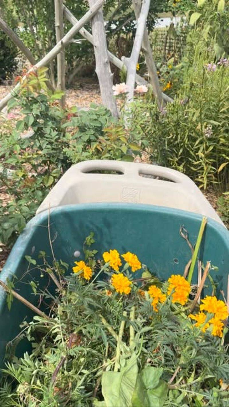 Skipping The Fall Clean-Up