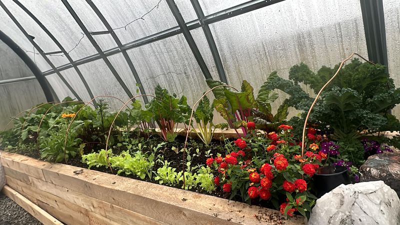 Raised Beds: Start Fresh Above Problem Soil