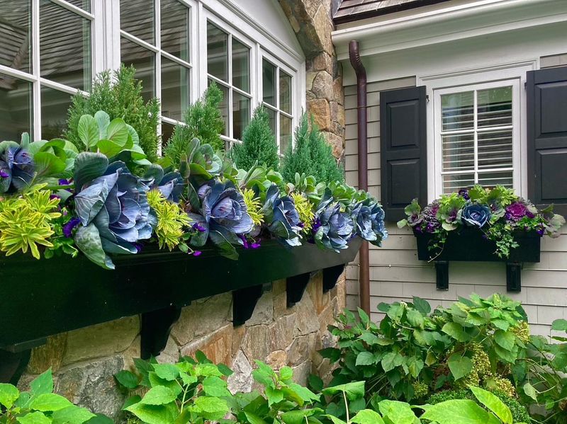Install Window Boxes