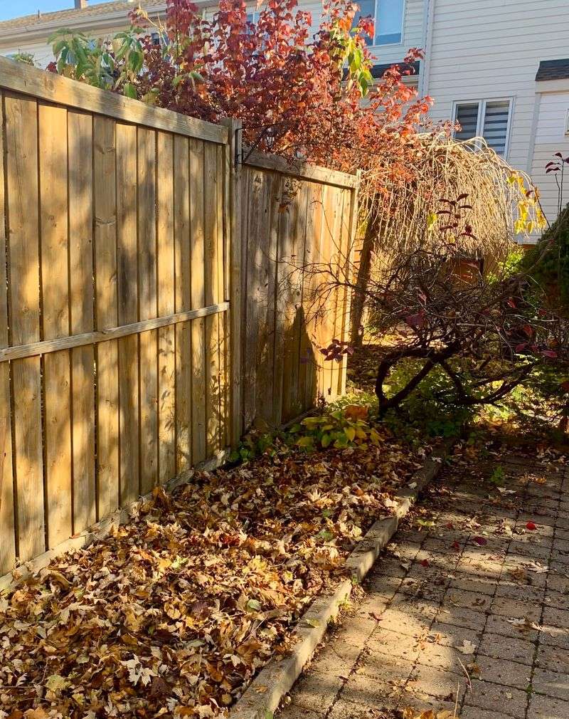 Leave Leaf Litter
