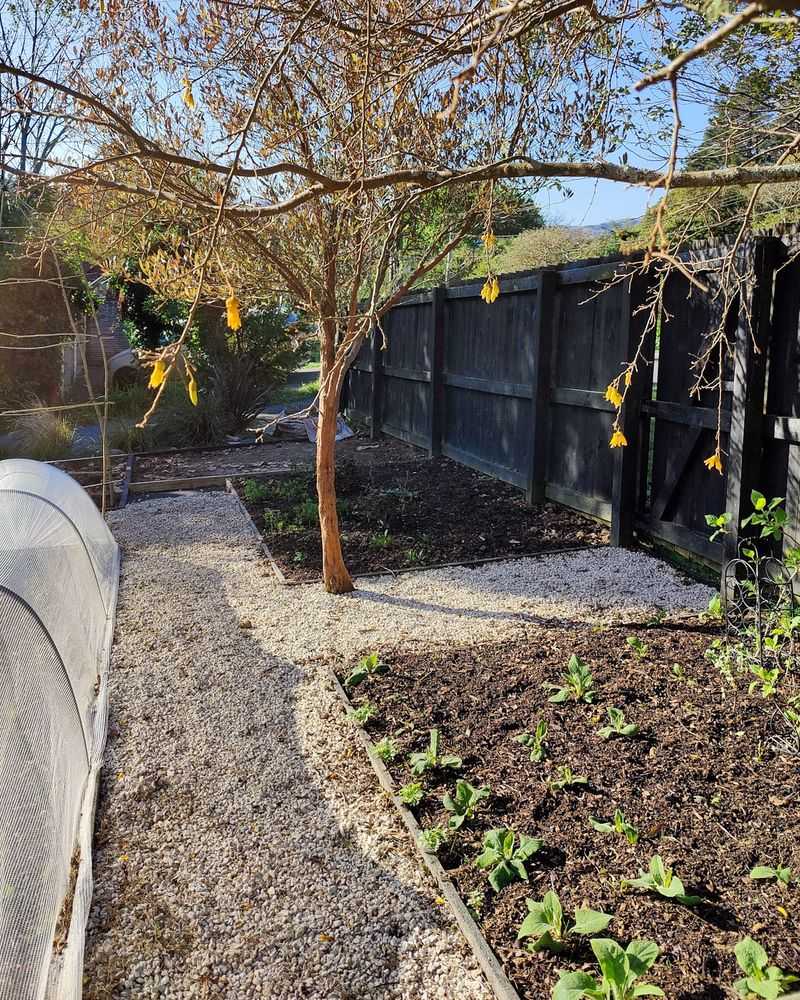 Prepare New Garden Beds