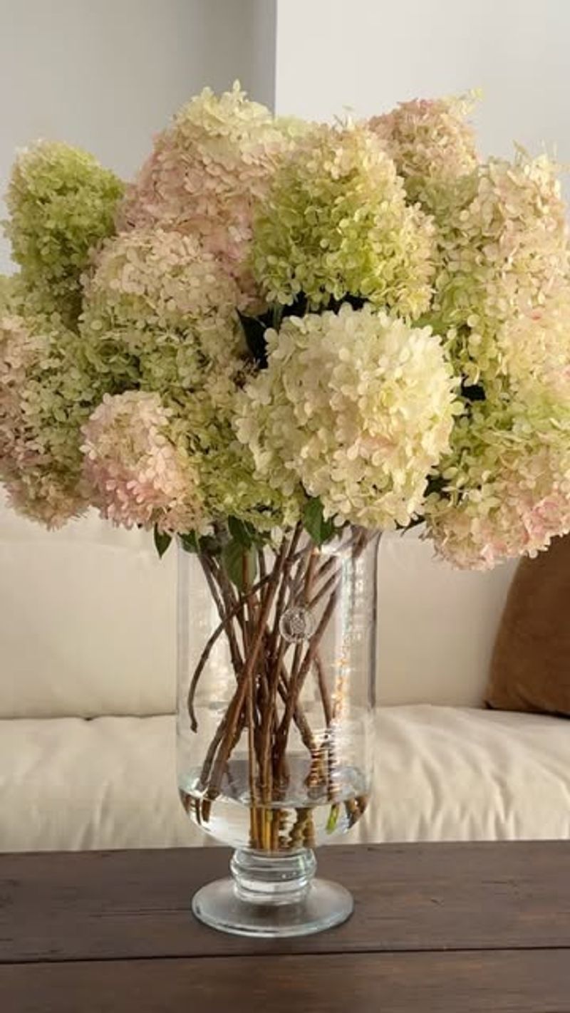 Dry Blooms For Indoor Arrangements