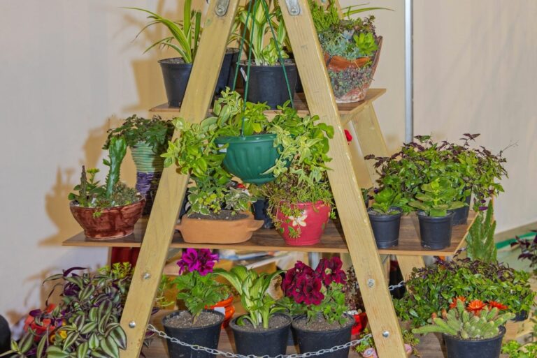 Ladder Plant Stand
