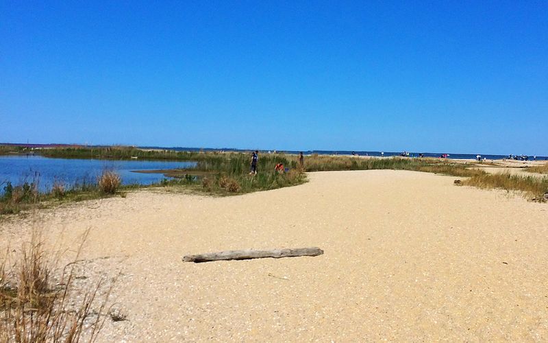 Flag Ponds Nature Park's Fossil Beaches