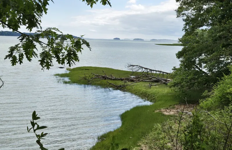 Maquoit Bay Conservation Land