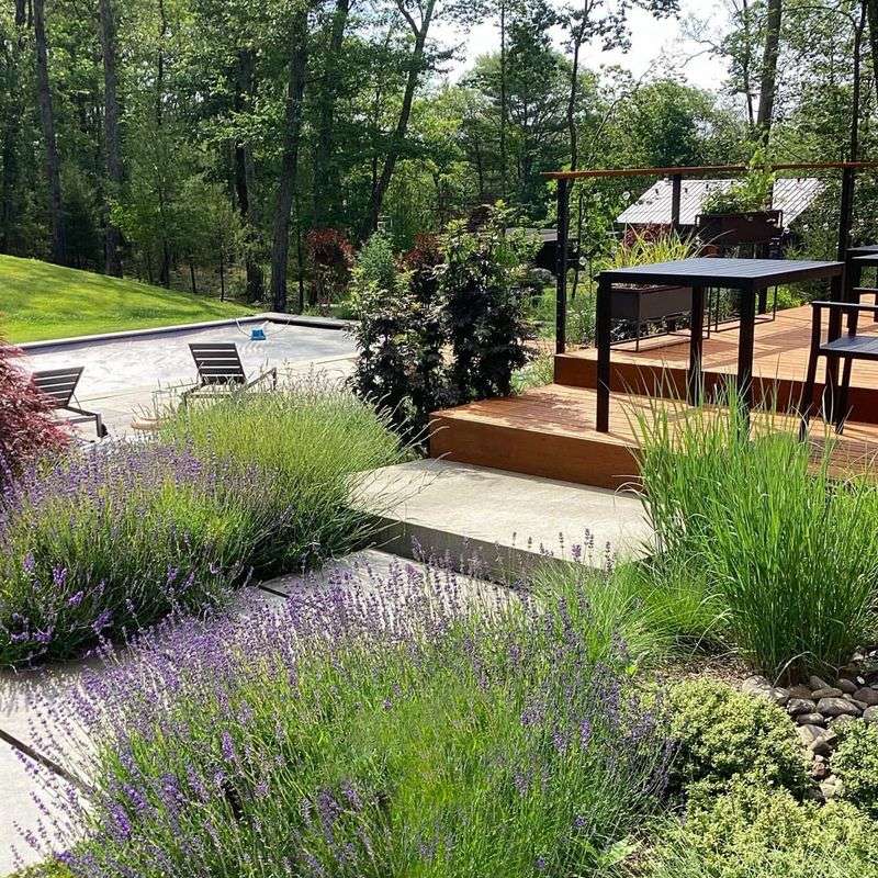 Heat-Tolerant Landscaping