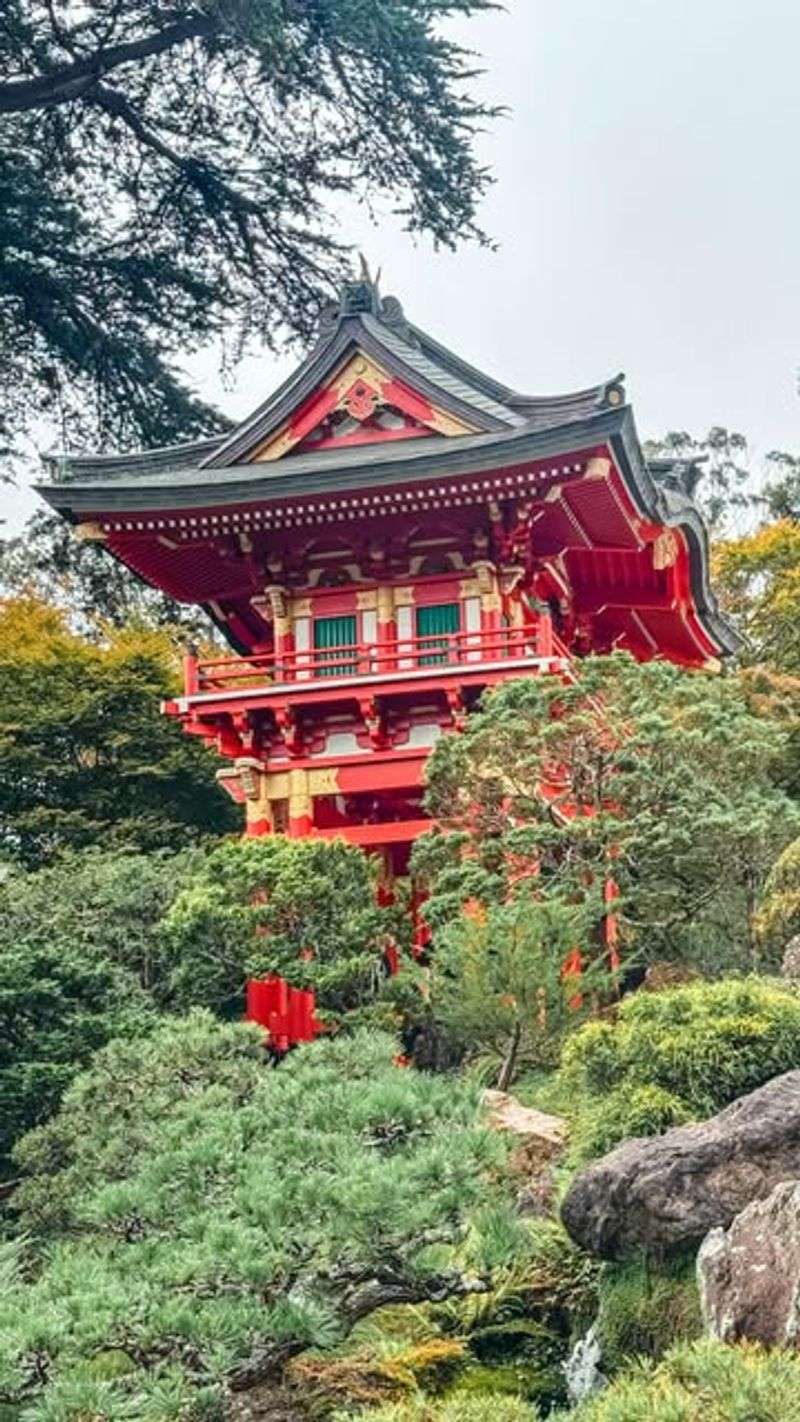 The Japanese Tea Garden