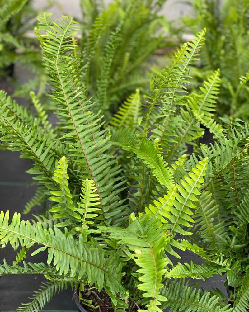 Consider Your Microclimate's Protection Level