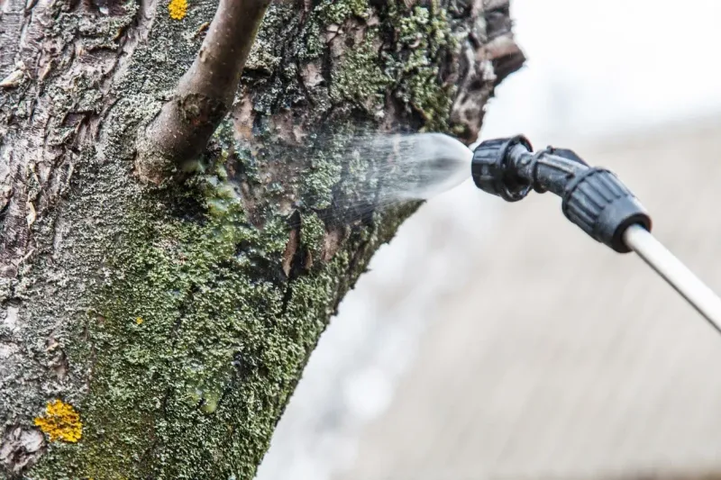 Basal Bark Application