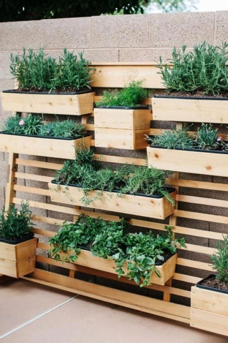 Vertical Garden Installation