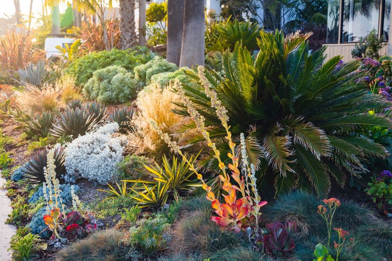 Water-Wise Irrigation