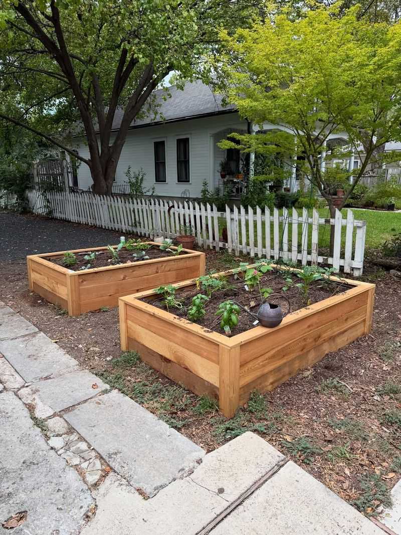Raised Garden Beds in Front Yards