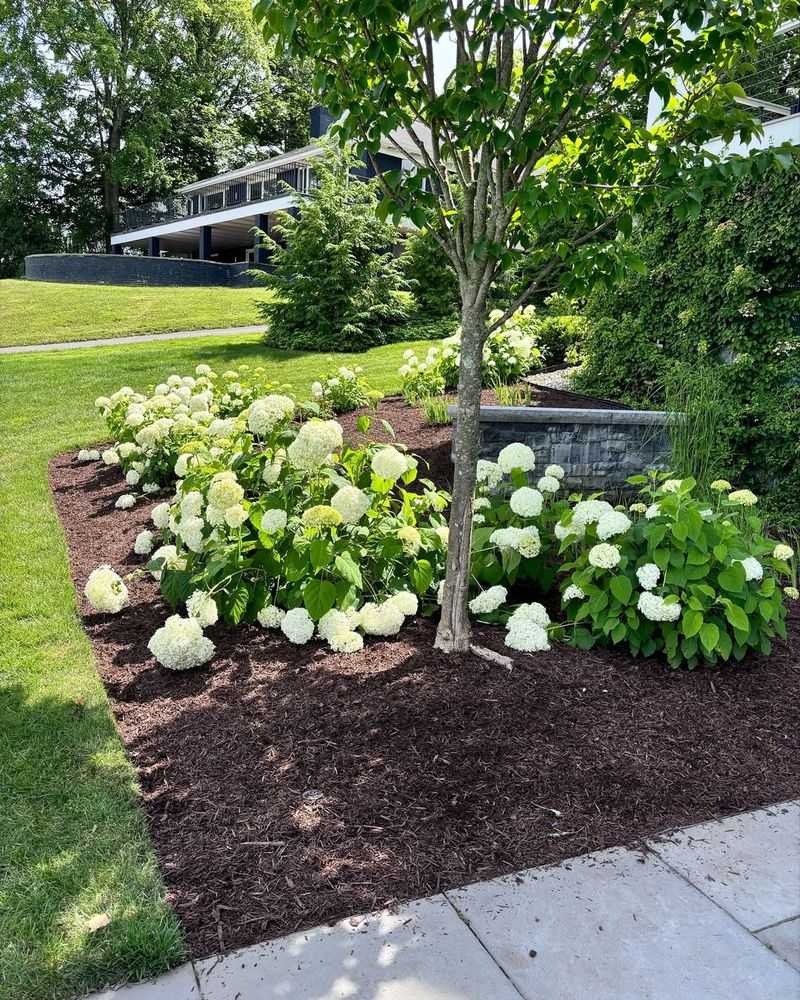 Apply A Thick Mulch Layer