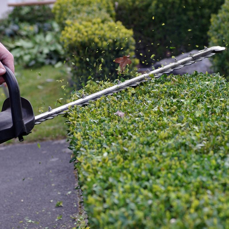 Fertilize Based On Pennsylvania's Growing Calendar