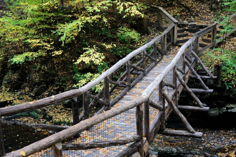 Trail Bridge at Delaware Water Gap NRA