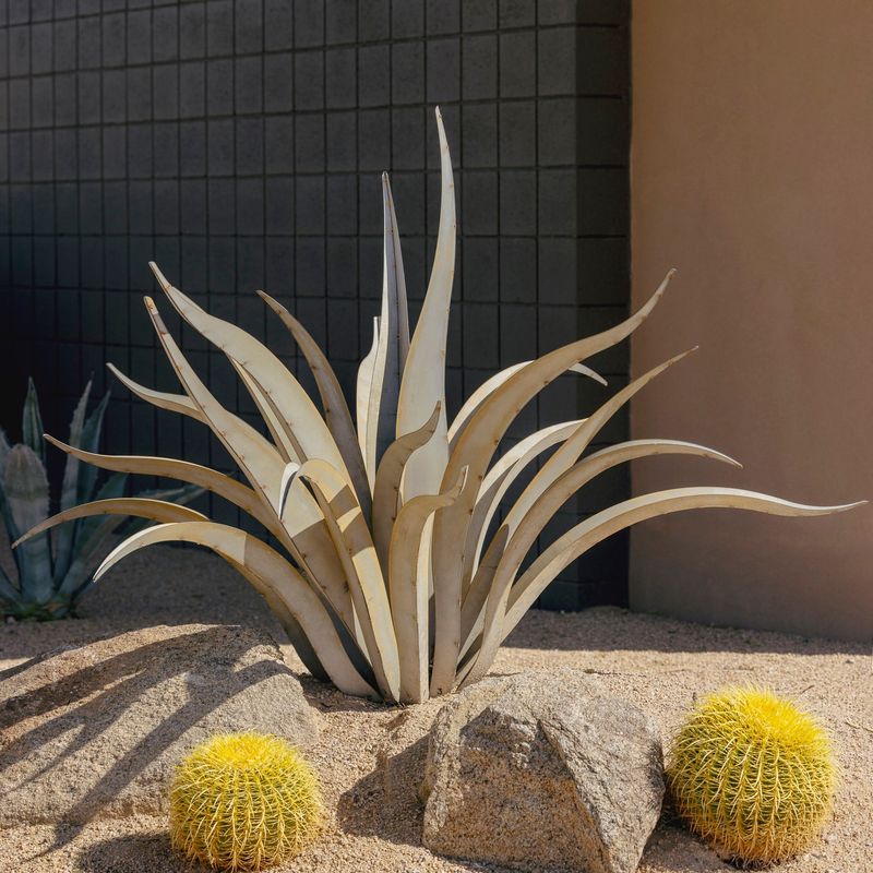 Octopus Agave